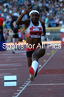 Womens triple jump, 2019 Muller British Championships, Alexander Stadium, Birmingham. Photo: David T. Hewitson/Sports for All Pics